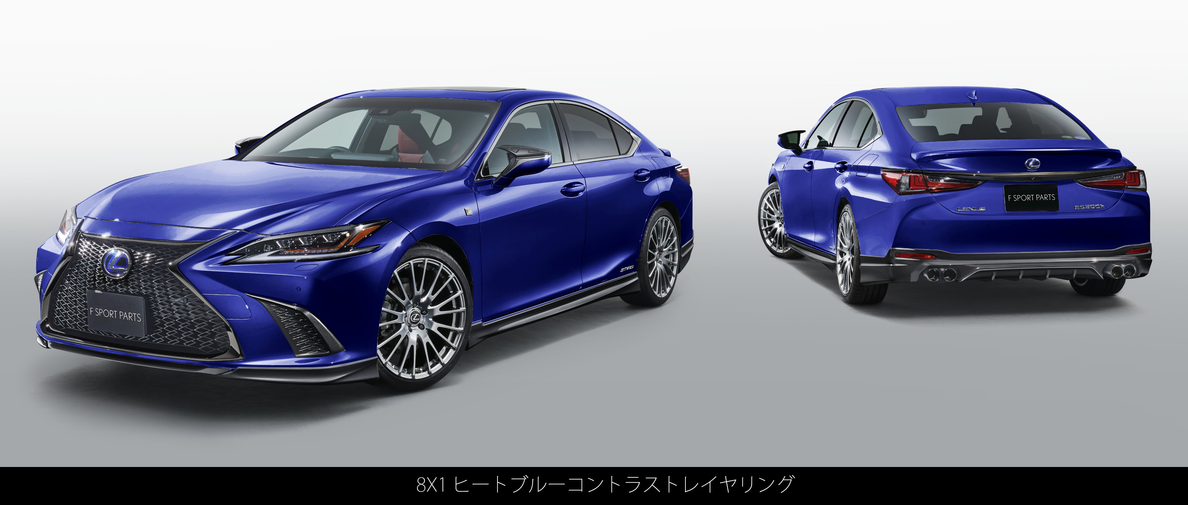 LEXUS(レクサス) ES F SPORT PARTS(TRD)| TRD