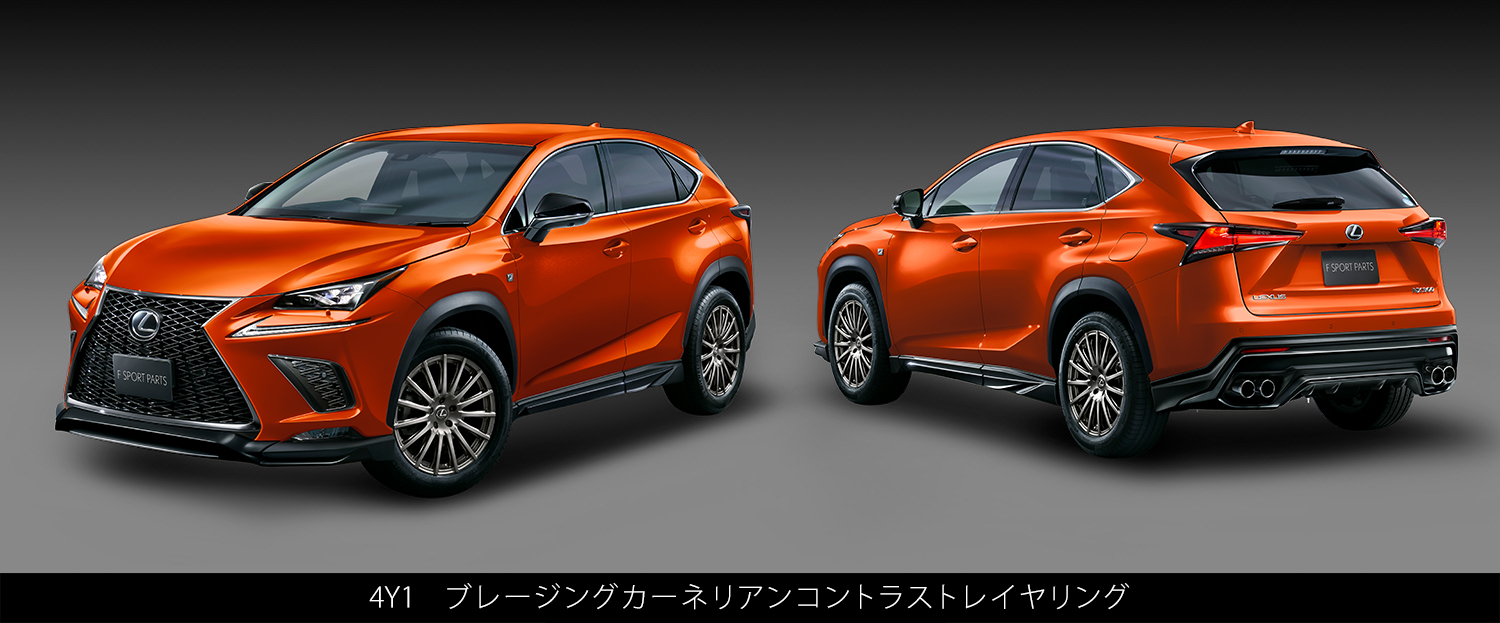 color_nx-4y1-be.jpg